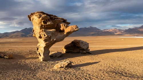 風で削られた奇岩「ストーンツリー」、砂漠にぽつんと立つ超現実的な風景。人物なし。