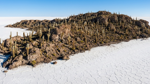 塩湖の真ん中に浮かぶサボテン島、白い塩湖とのコントラストが美しい。人物なし。
