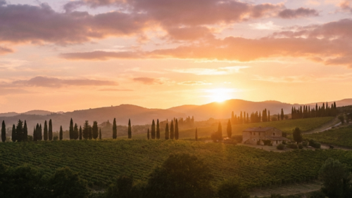 トスカーナ地方のなだらかな丘に沈む夕日。糸杉と葡萄畑がシルエットとなり、黄金色の空が広がる幻想的な風