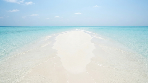 モルディブの海に現れる白いサンドバンク。海の真ん中に続く幻想的な砂州
