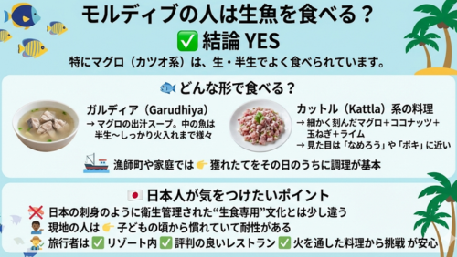「モルディブの人は生魚を食べる？」という問いに対し、「結論 YES」と回答する解説インフォグラフィック画像。薄い水色の背景に、魚やヤシの木のイラストがあしらわれています。

どんな形で食べる？：代表的な2つの料理が写真付きで紹介されています。

ガルディア：マグロの出汁スープ。魚の火入れは半生からしっかりまで様々。

カットル系の料理：刻んだマグロ、ココナッツ、玉ねぎ、ライムを混ぜた、「なめろう」や「ポキ」に近い料理。

漁師町や家庭では、獲れたてをその日のうちに調理するのが基本と説明されています。

日本人が気をつけたいポイント：日本の国旗アイコンと共に、注意点がまとめられています。

日本の徹底した衛生管理下にある「刺身文化」とは少し異なる点。

現地の人は幼少期からの慣れで耐性があるが、旅行者は「リゾート内」「評判の良いレストラン」「火を通した料理」から挑戦するのが安心であるというアドバイス。