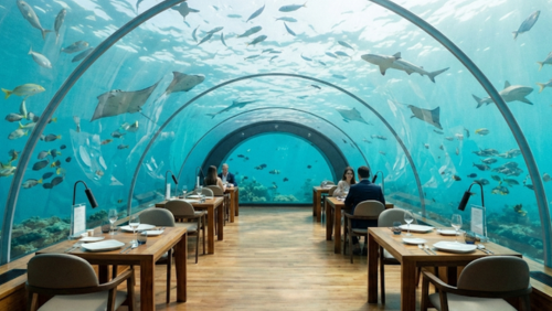 モルディブの水中レストラン「5.8」。全面ガラス越しに海中世界が広がる、世界最大級の水中ダイニング
