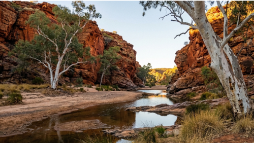 フィンケ渓谷を流れる川と断崖の風景