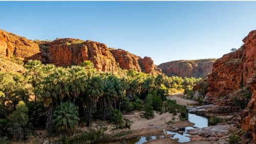砂漠の中に広がるパーム・バレーのオアシス