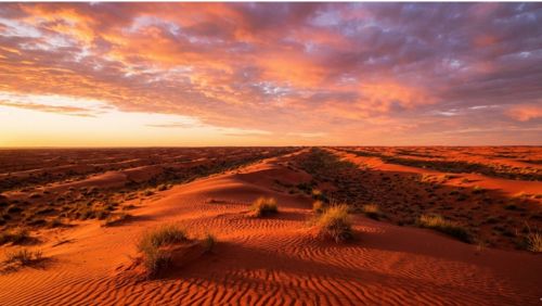 赤い砂丘が続くシンプソン砂漠