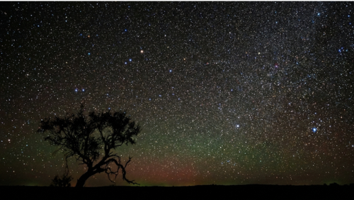 オーストラリア中央部の砂漠の上に、空一面を埋め尽くす無数の星が広がる夜空