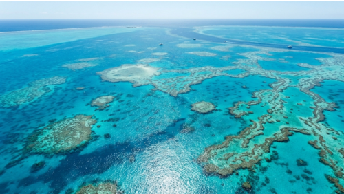 グレートバリアリーフのサンゴ礁