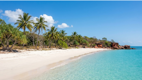 ティウィ諸島の美しいビーチ