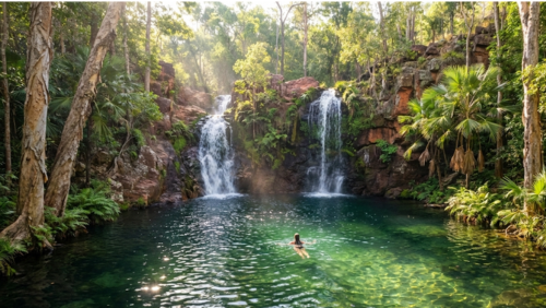 リッチフィールド国立公園のフローレンス滝で、エメラルド色の滝つぼを泳ぐ人と熱帯雨林に囲まれた絶景