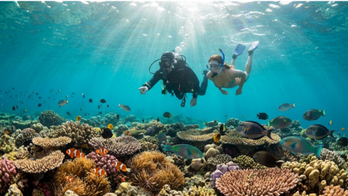 透明度の高いグレートバリアリーフで、色鮮やかなサンゴ礁と熱帯魚の中を泳ぐダイバーの風景