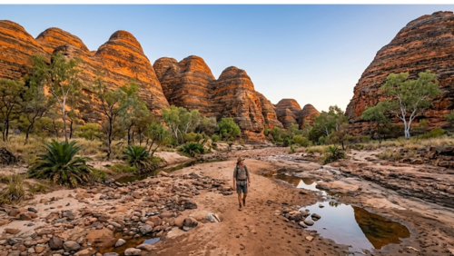オーストラリアのパーヌルル国立公園内にある「ピカニニー・クリーク」の乾燥した川床を歩く、壮大で野生味あふれるトレッキングシーンを描いた実写風の写真です。

被写体と光景: 画面中央の乾燥した川床を、バックパックを背負い帽子を被った一人の男性ハイカーが歩いています。川床は赤い砂土、丸い石、砂利で構成され、蛇行しながら奥へと続いています。

背景: 川床の両側には、縞模様の蜂の巣ドームがそびえ立っています。これらのドームは、バングル・バングル特有のオレンジと黒の縞模様を持ち、午後の太陽光を浴びて輝きながら連なっています。

環境: ドームの麓や川床沿いには、ユーカリ、パンダナス、シダ植物などの緑の植物が点在しています。

構図と雰囲気: 広角レンズで撮影されており、巨大な縞模様のドームと、その下を歩く人間の対比が際立っています。静寂と大自然の野生を感じさせる、超高解像度8K画像です。