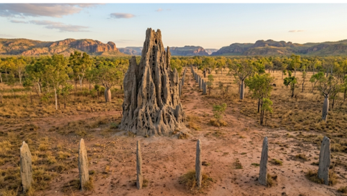 オーストラリアのアウトバックに広がる、巨大な「カテドラル・ターマイト・マウンド」を中心とした不思議な自然景観です。画面中央には、高さ4メートルを超える、ゴシック建築の尖塔のような複雑な凹凸を持つ灰褐色の巨大なアリ塚がそびえ立っています。その周囲には、数百本の薄く平らな「磁石アリ塚」が、まるで墓石のように、正確に同じ方向（南北）を向いて整然と並んでおり、手前の岩場から地平線へと伸びています。背景には、乾燥したブッシュ（スピニフェックスグラス、ユーカリの木、バオバブの木）と、険しい赤褐色の砂岩の山脈（Pindan ranges）が連なっています。人工物のない、手つかずの野生の神秘と静寂を感じさせる、夕暮れ時の柔らかな黄金色の光に包まれた超高解像度8K画像です。