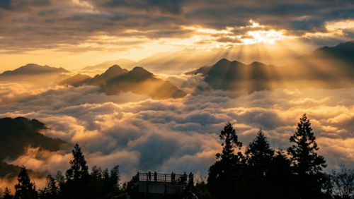 阿里山に広がる雲海と朝日。山々の間を雲が流れる神秘的な景色。