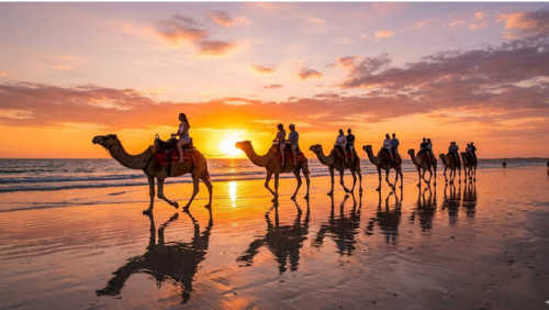 西オーストラリア州ブルームのケーブルビーチで、黄金色の夕日を背に波打ち際を歩くラクダのキャラバン。沈みゆく太陽が空をオレンジとピンクに染め上げ、濡れた砂浜にはラクダと乗客の姿が鏡のように美しく反射している。インド洋の穏やかな波と広大な地平線を背景にした、幻想的なサンセット・キャメル・ライドの風景