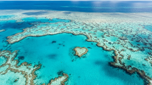 グレートバリアリーフの海にハート形に見えるサンゴ礁「ハートリーフ」を空から見た風景