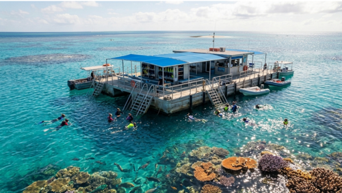 グレートバリアリーフのポンツーンからシュノーケリングを楽しむ観光客と透明な海のサンゴ礁