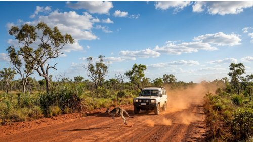 ケープヨーク半島の赤土の道を横断するカンガルーと四輪駆動車