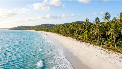 ケープヨーク半島チリビーチの白い砂浜とヤシの木が続く海岸