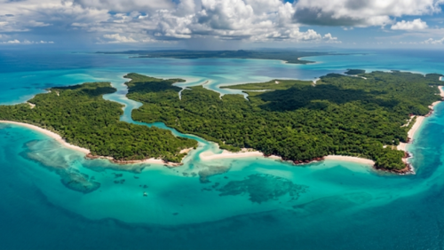 ティウィ諸島の白砂ビーチと熱帯の森を上空から見た景色