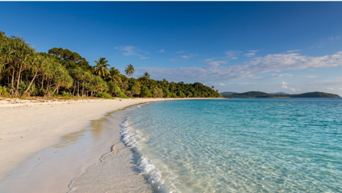 ティウィ諸島の静かな白砂のビーチ