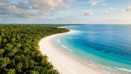 ティウィ諸島の手つかずの白砂ビーチとエメラルドの海
