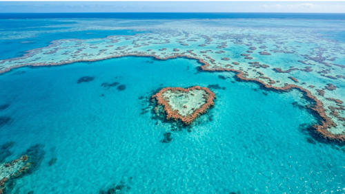 ハートリーフを真上から捉えた、ターコイズブルーの海に浮かぶハート型サンゴ礁の絶景