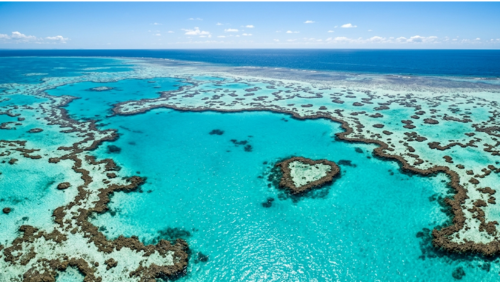 サンゴ礁に囲まれたハートリーフと透き通る海のコントラストが美しい絶景
