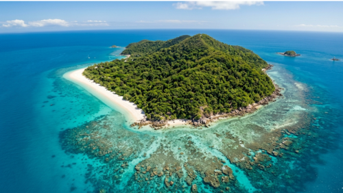 エメラルドの海に囲まれたフィッツロイ島の全景とサンゴ礁の絶景