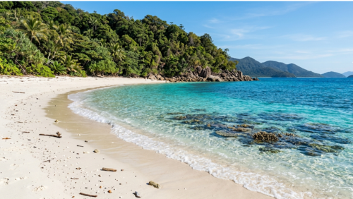 透明度の高い海と白砂のビーチが広がるフィッツロイ島の絶景