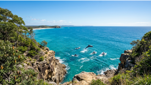 ヌーサ国立公園ドルフィン・ポイントの風景。広がる海を見渡す展望台からイルカが泳ぐ姿を望める絶景スポット