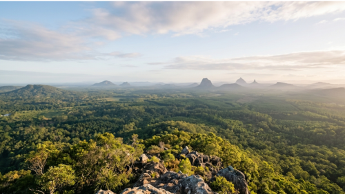 エミューマウンテン山頂からの景色。サンシャインコーストの内陸部に広がる森と丘陵の先に、グラスハウスマウンテンズのシルエットが見える風景