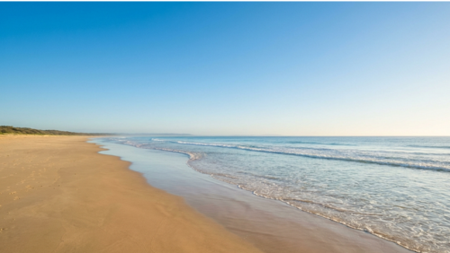 オーシャン・ビーチ・ウォークの風景。どこまでも続く砂浜と穏やかな波が広がる、開放感のある海沿いの道