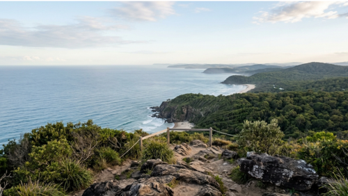 エミューマウンテン山頂からの景色。海岸線と森が広がる、静かで開放的なパノラマの絶景