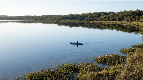 レイク・ウェイバでカヤックを楽しむ風景。静かな湖面をゆっくり進む穏やかな時間