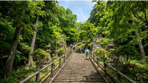 日本語: 新緑に囲まれた新倉山浅間公園の長い石段を、リュックを背負った数人のハイカーがゆっくりと登っている様子。
英語: A scenic view of the famous stone staircase at Arakurayama Sengen Park, with hikers ascending the 400 steps surrounded by lush green early summer foliage.